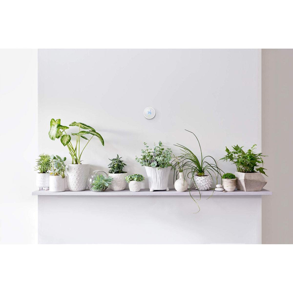 Nest Thermostat E app control highlights remote temperature management convenience