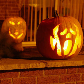 NETEHA suitable for pumpkin displays with gentle, decorative lighting.