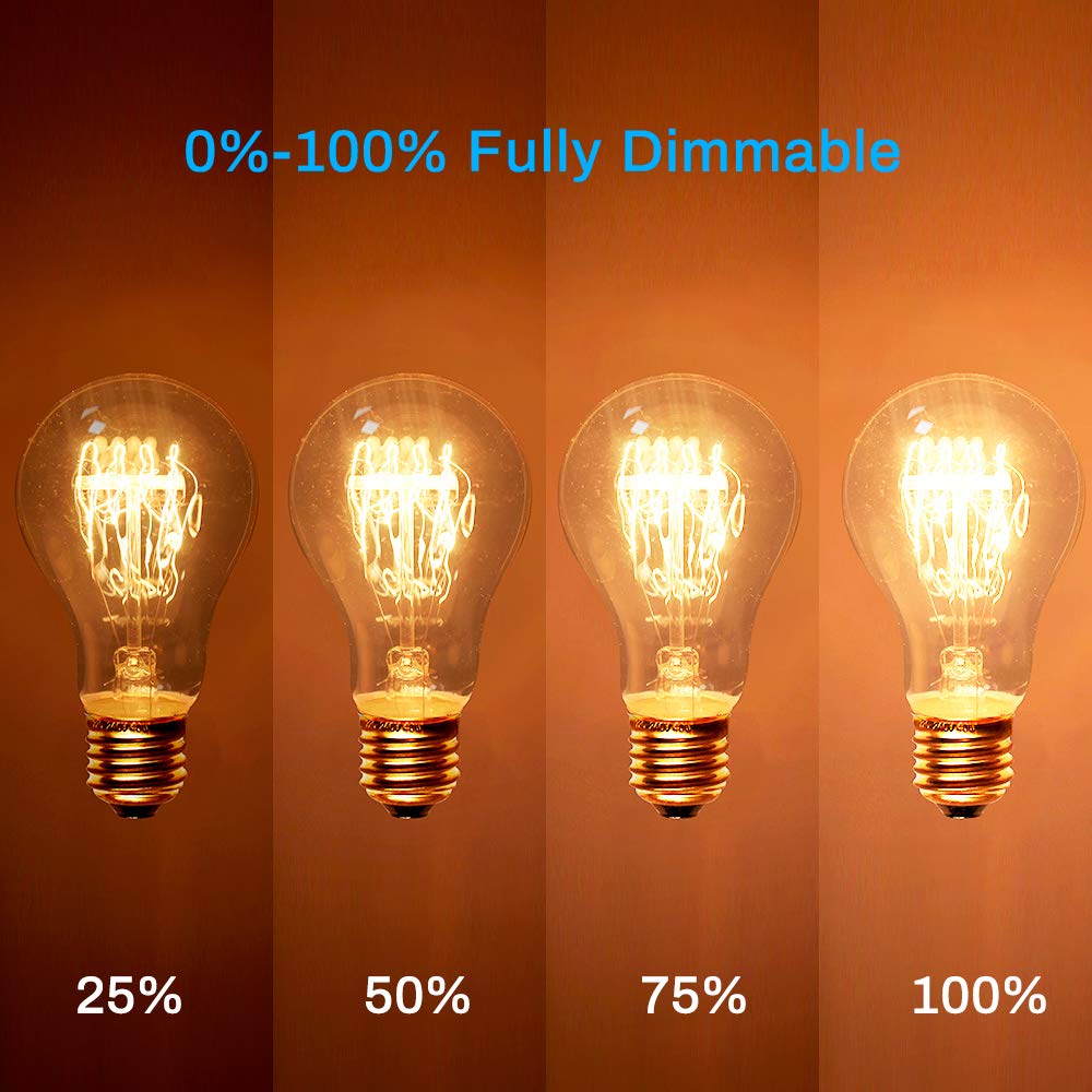 New Lights dimmable 60W Edison bulb delivers adjustable warm brightness.