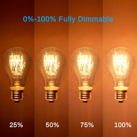 New Lights dimmable 60W Edison bulb delivers adjustable warm brightness.