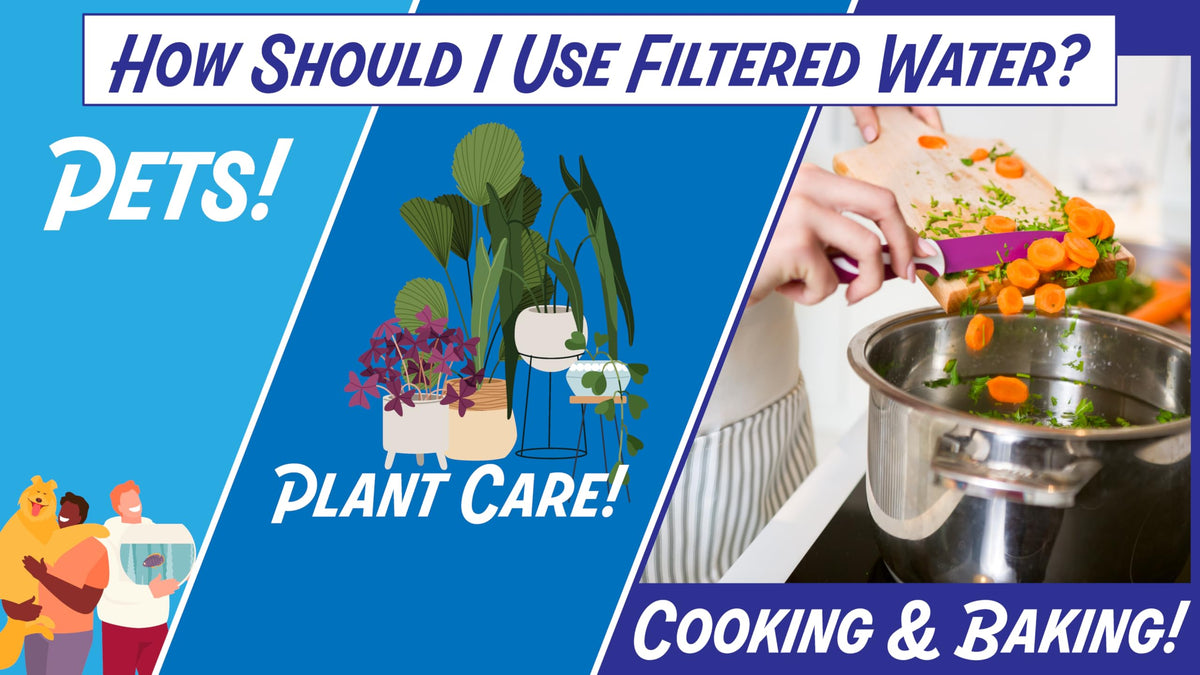 New Wave Enviro 10 Stage Plus cartridge easy-replacement shows quick swap for filtered water.