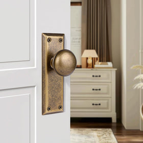 newliplace antique brass long plate detail adds vintage charm to interior doors.