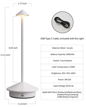 NEWSEE electroplated metal finish lamp with plastic shade for soft light