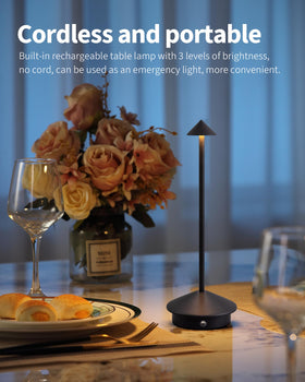 NEWSEE 2-pack desk lamps offer battery-powered brightness anywhere.