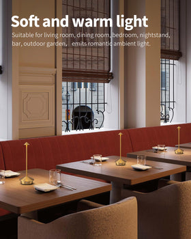 NEWSEE touch-controlled lamp, 2700K brightness, warm glow focus.
