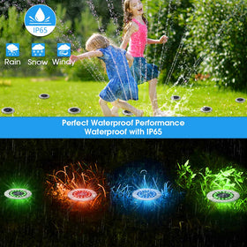 NFESOLAR discreet solar disk light brightens driveways and garden paths.