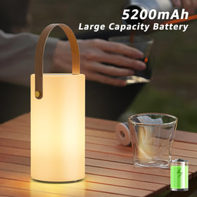 NiceBuy portable-handle cordless lantern is easy to carry on camping trips.