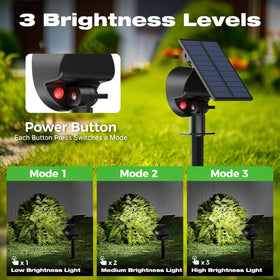 Nipify three-mode operation for pathways, lawns, and focal accents.
