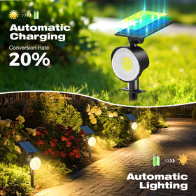 Nipify solar spot light pathway illumination demonstrates efficient garden path lighting.
