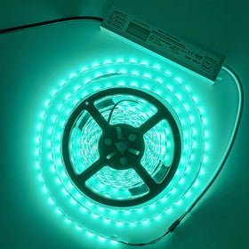 NIYIPXL LED Driver 12V output powers 12V LEDs reliably