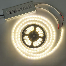 NIYIPXL 24V output compatible with RGB dimmers for flexible lighting moods.