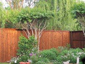NK Norkan Ready Seal on a fence, showcasing seamless, self-blending finish.