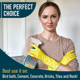Outdoor stone surface protected by NOON'S UP Super Mica-Seal.