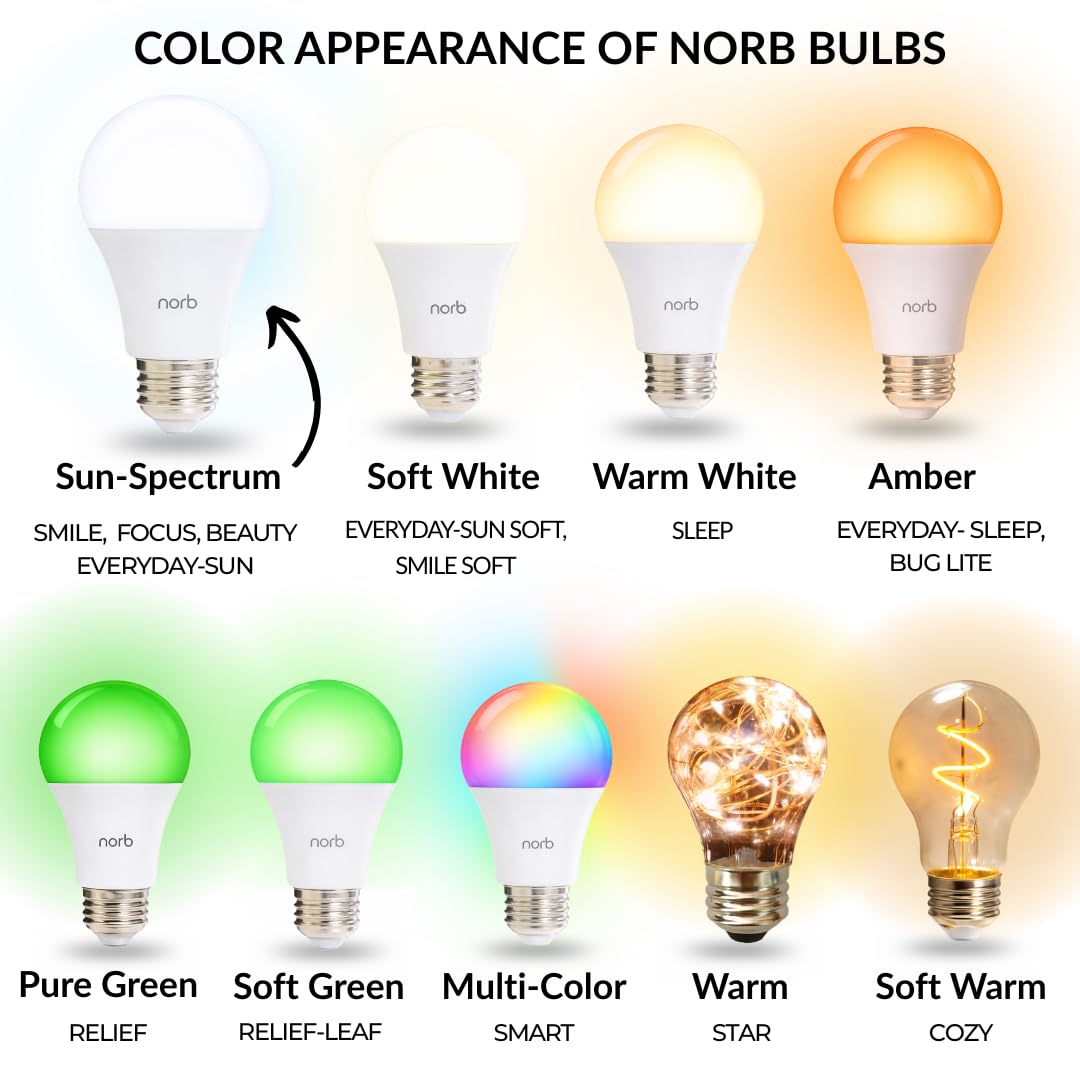 Norb Everyday Sun bulb delivers 5000K daylight as UV-free mood and energy booster.