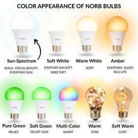 Norb Everyday Sun bulb delivers 5000K daylight as UV-free mood and energy booster.