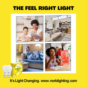 Norb Everyday Sun bulb supports circadian-friendly daytime lighting throughout the day.