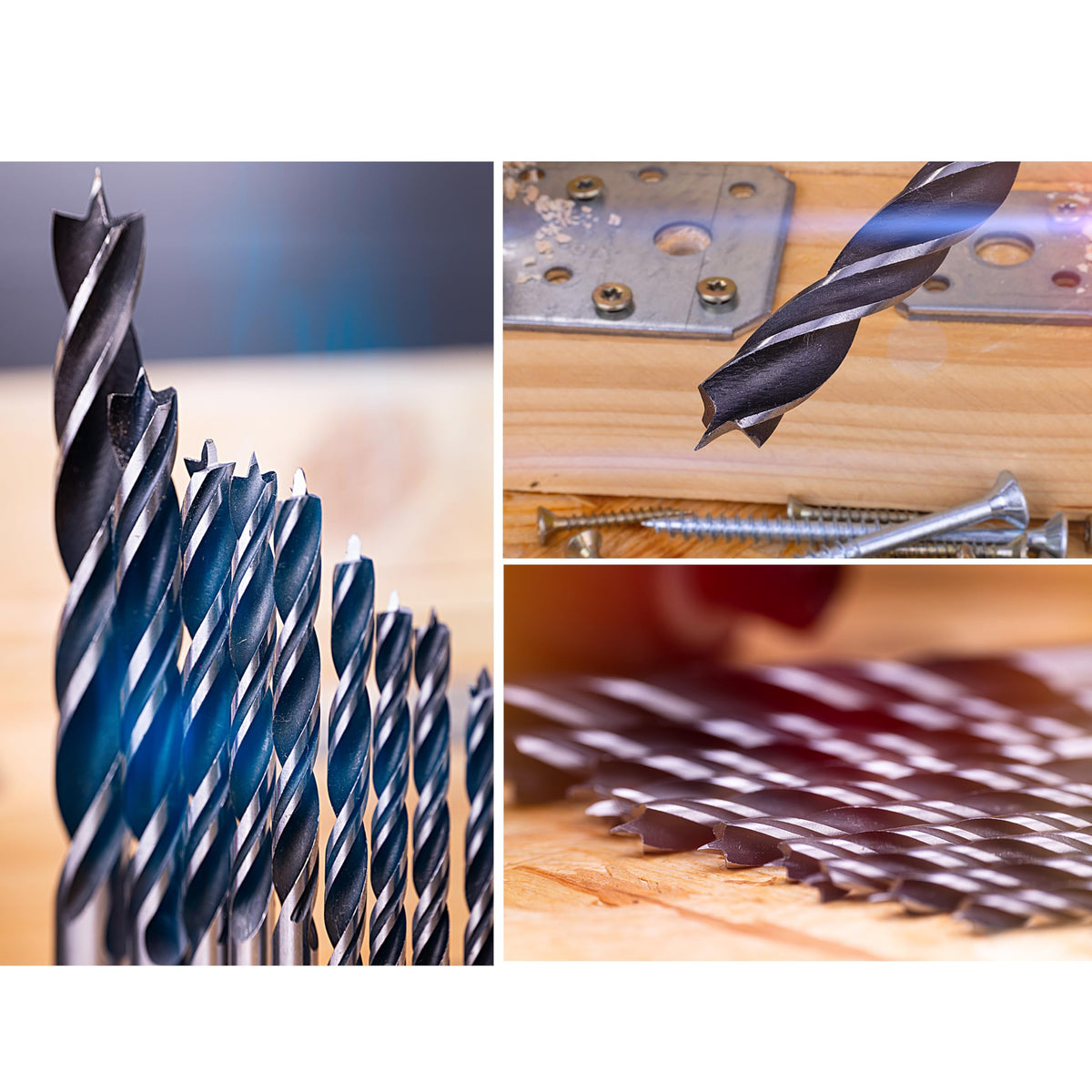 NordWolf pilot hole precision demonstration on lumber