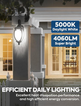 Nouscan packaging shot highlights energy savings and long bulb life