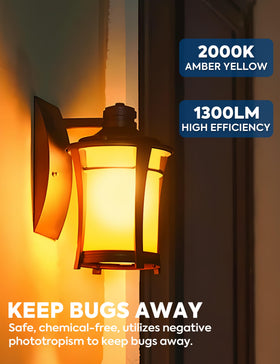 Nouscan amber-yellow flood light brightens porch and deck spaces