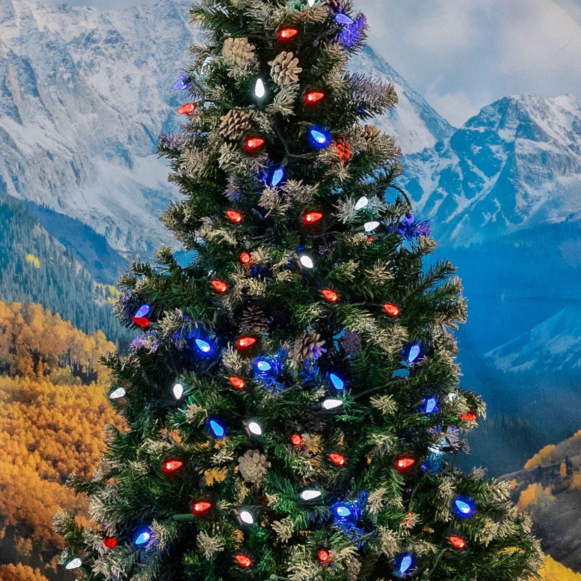 Novelty Lights UL-certified durability withstands rain and wind for lasting displays