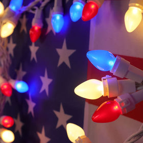 Novrose Independence Day string lights plug in quickly for patios and trees