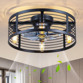 NSXQMUV caged ceiling fan with light front view showing enclosure and airflow