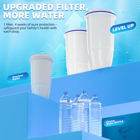 Nuttuto compatible model ZR-017 pitcher shown with filter.
