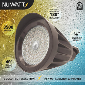 NUWATT outdoor LED spot light in yard highlights trees and pathways