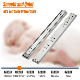 OCG 22in drawer slide, side mount for full-extension access