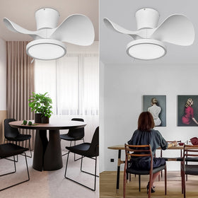 ocioc six-speed with timer options supports flexible comfort