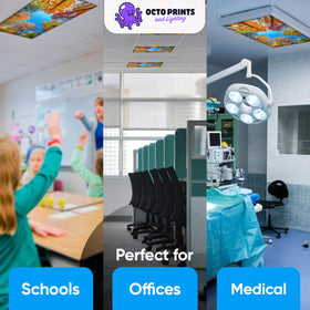 OCTO LIGHTS durable fabric keeps overhead lighting safer and more pleasant.