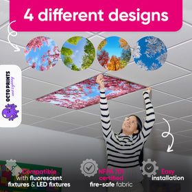 OCTO LIGHTS classroom-ready cover enhances focus and comfort during lessons.