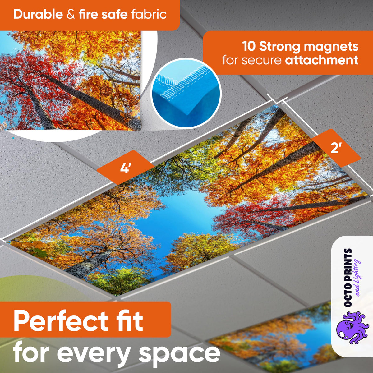 OCTO LIGHTS magnetic cover over a fixture enables quick room refresh.