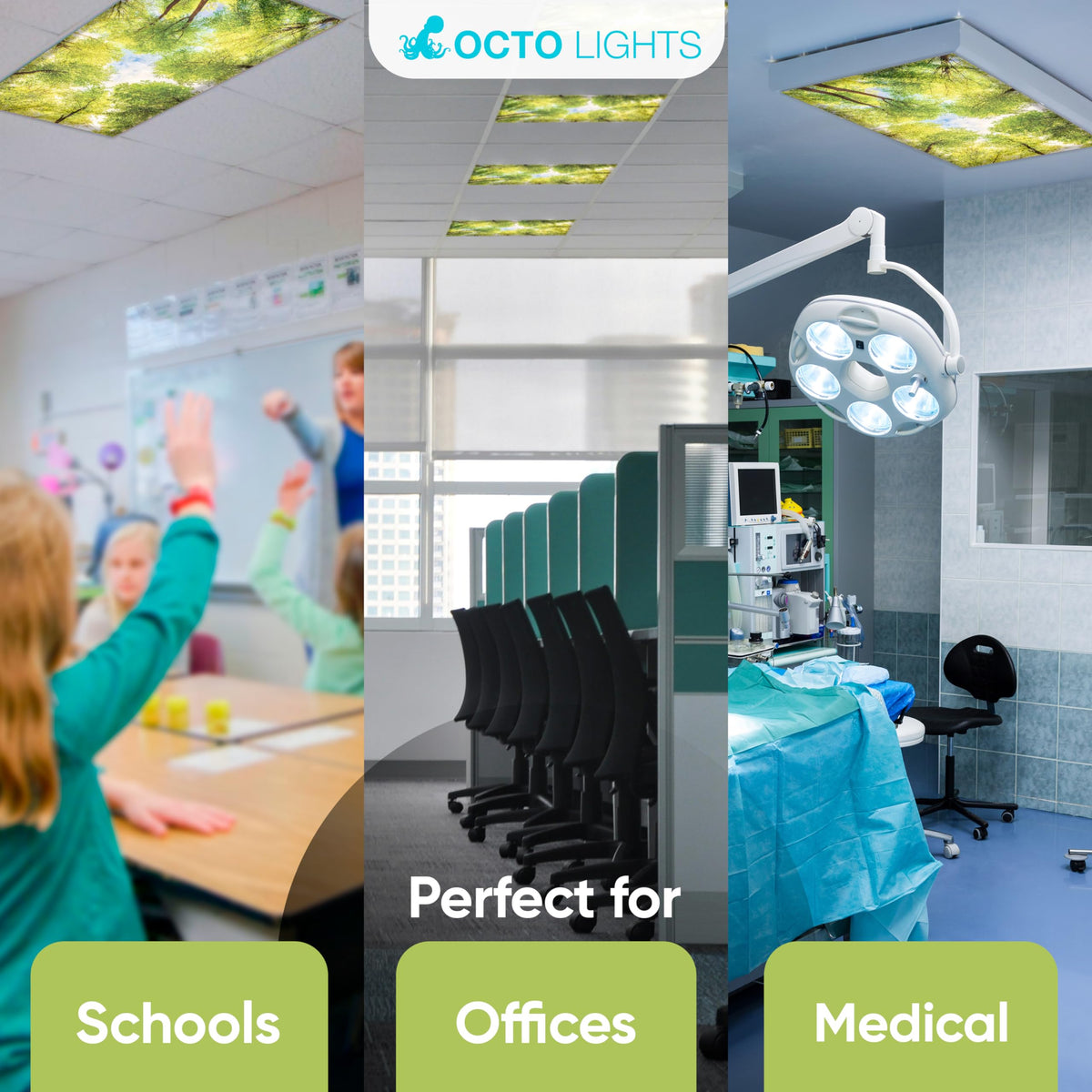 Ambience upgrade with OCTO LIGHTS Tree Cover offering chic color options