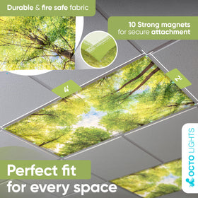 OCTO LIGHTS Magnetic Tree Cover on a ceiling fixture demonstrates effortless magnet attachment