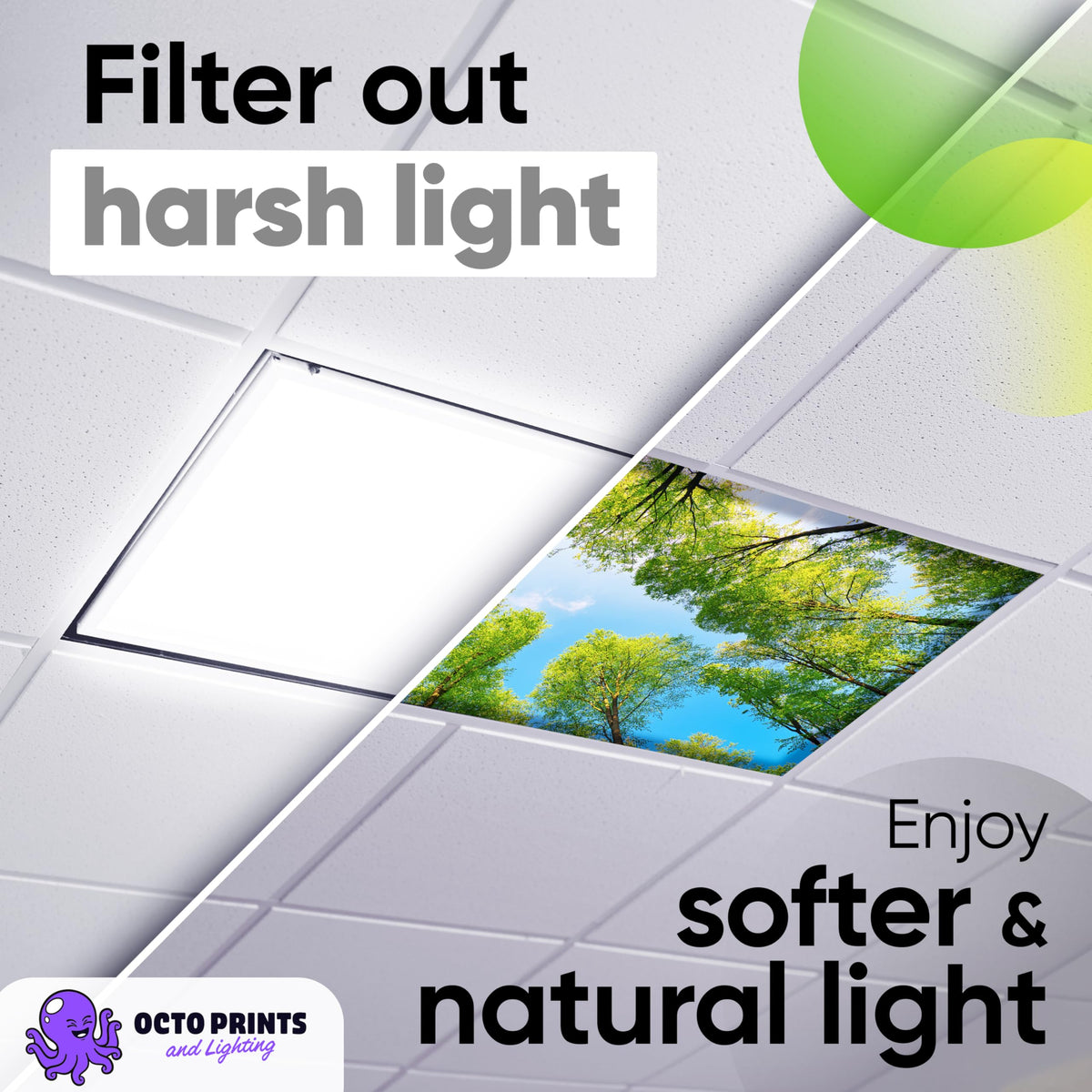 OCTO LIGHTS ambience upgrade adds chic color to classroom, home, or office.