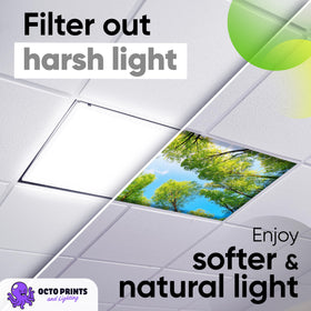 OCTO LIGHTS ambience upgrade adds chic color to classroom, home, or office.