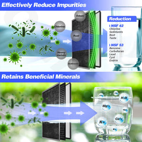 OemRep coconut shell carbon block reduces impurities while preserving minerals.