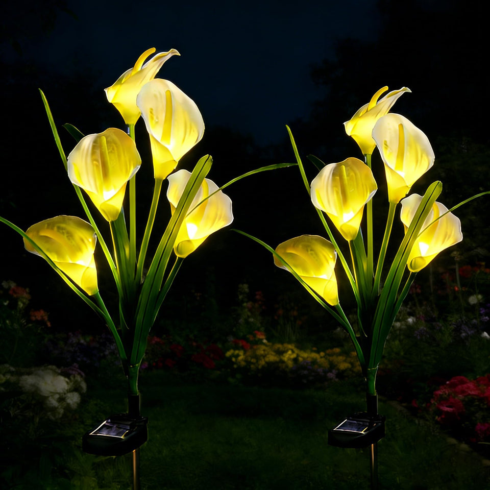 OEMUXU Calla Lily solar light for garden with daytime beauty and nighttime glow.