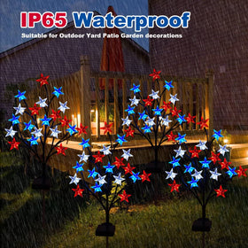 Ohwewant red white blue star pathway light lighting a yard at dusk.