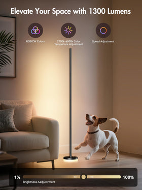OIYN 56-inch floor lamp provides broad illumination for larger spaces.