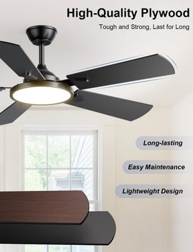OJX remote and app control enable hands-free lighting and fan tweaks.