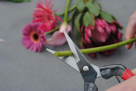 Okatsune Bud Cutting Shears No. 304 spring mechanism for smooth, fatigue-free cutting