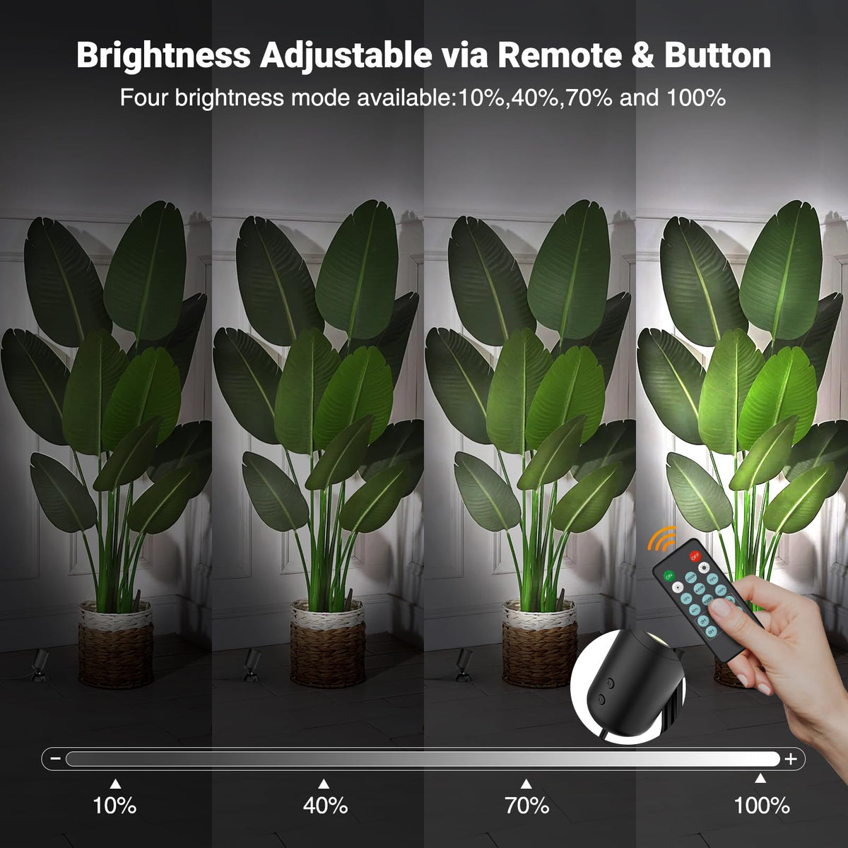Olafus floor spotlight highlights artwork and plants with a warm glow