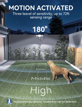 Olafus IP65 waterproof design withstands rain and snow.