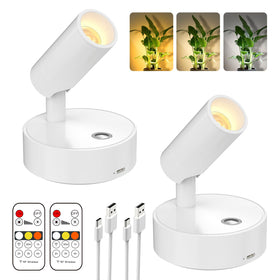 Olafus LED wireless spotlight on indoor magnet mount highlighting wall art