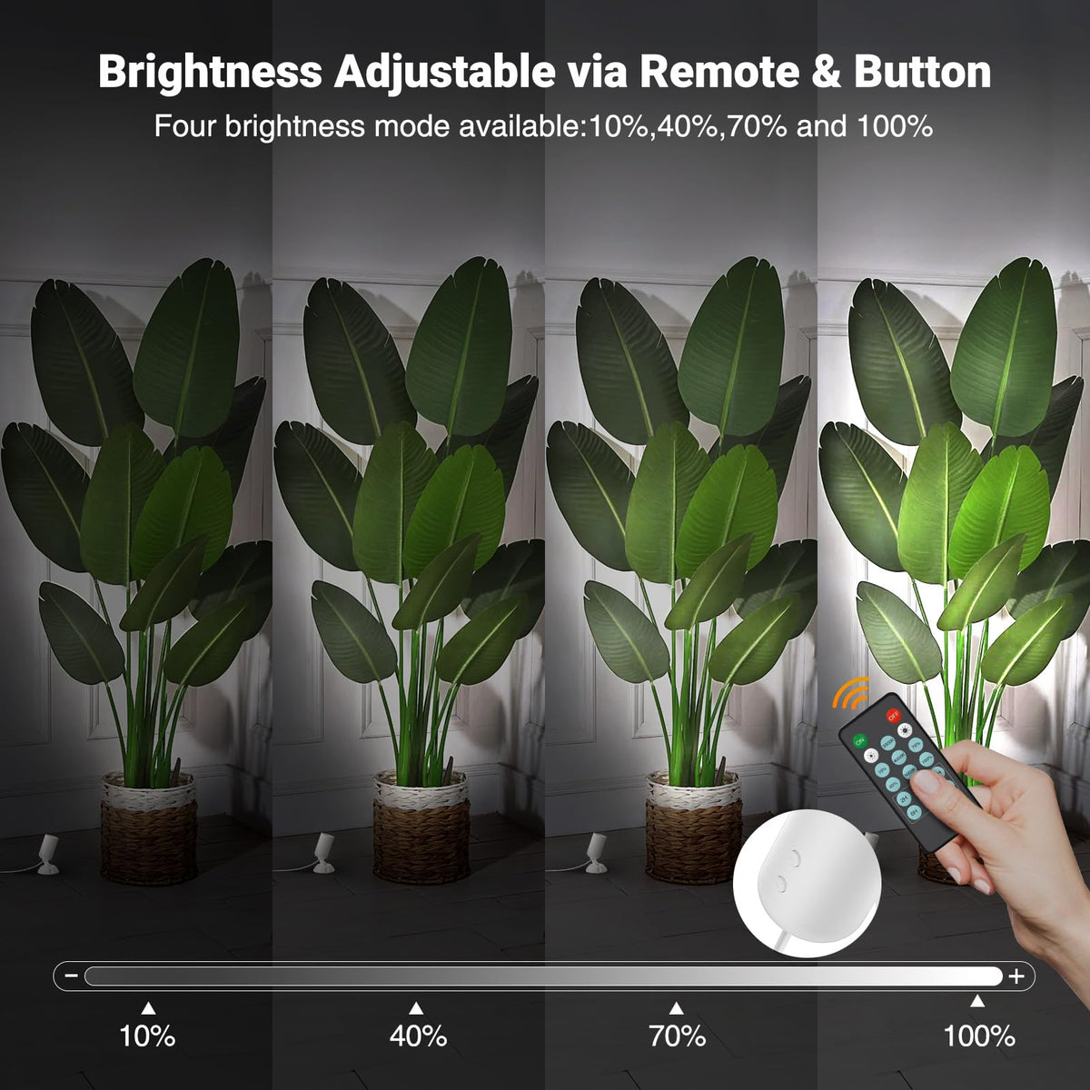 Olafus spotlight timer function helps automate daily lighting schedules.