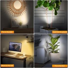 Olafus uplighting with three color temps creates ambient vibes