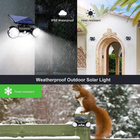 Ollivage 360-degree rotatable heads cover multiple angles.