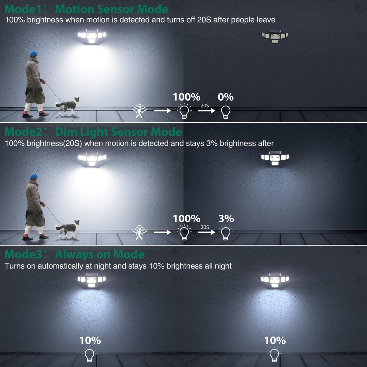 Omibee powerful night lighting enhances walkway safety after dusk.